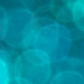 Bokeh-446